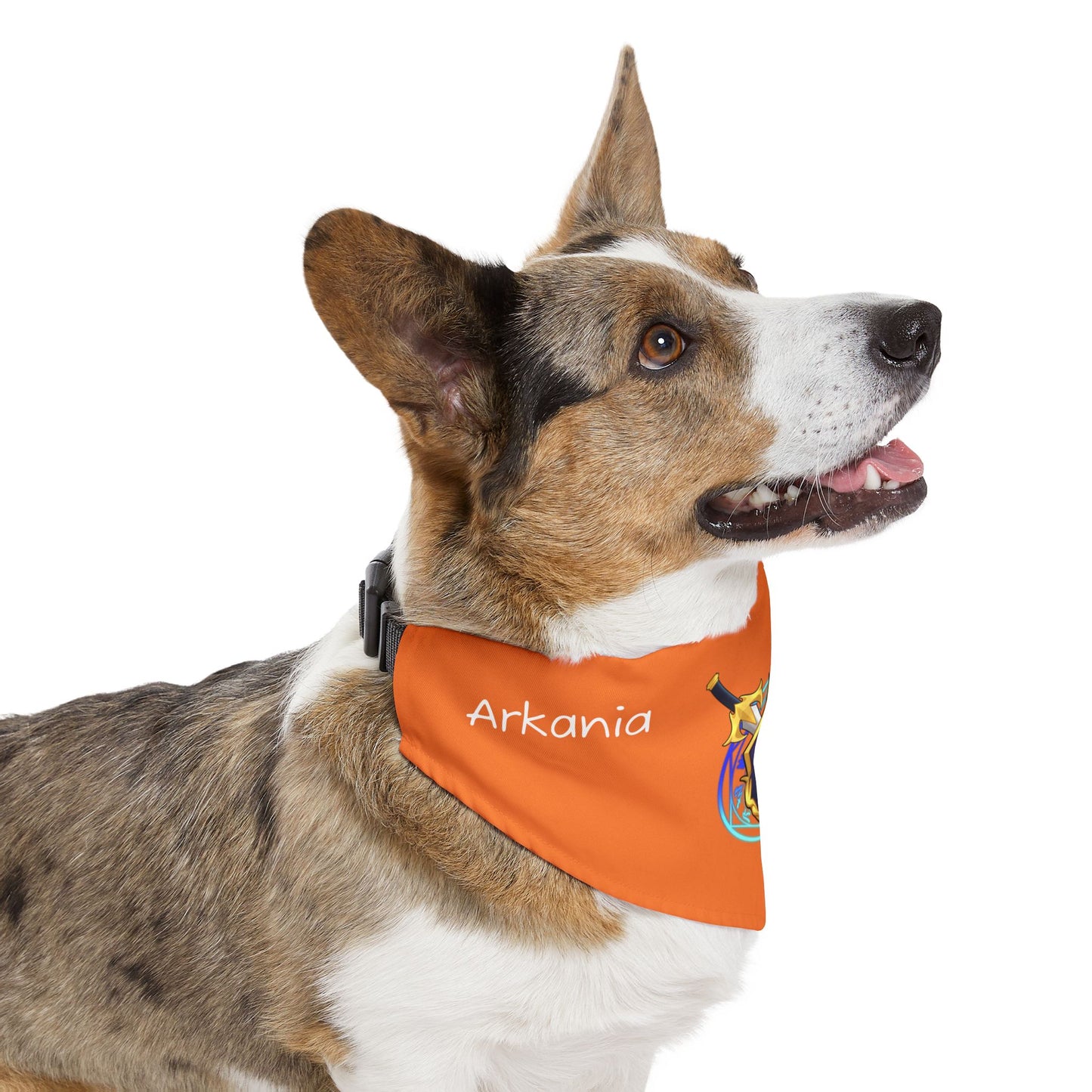 Arkania Academy Pet Bandana Collar (Crusta)