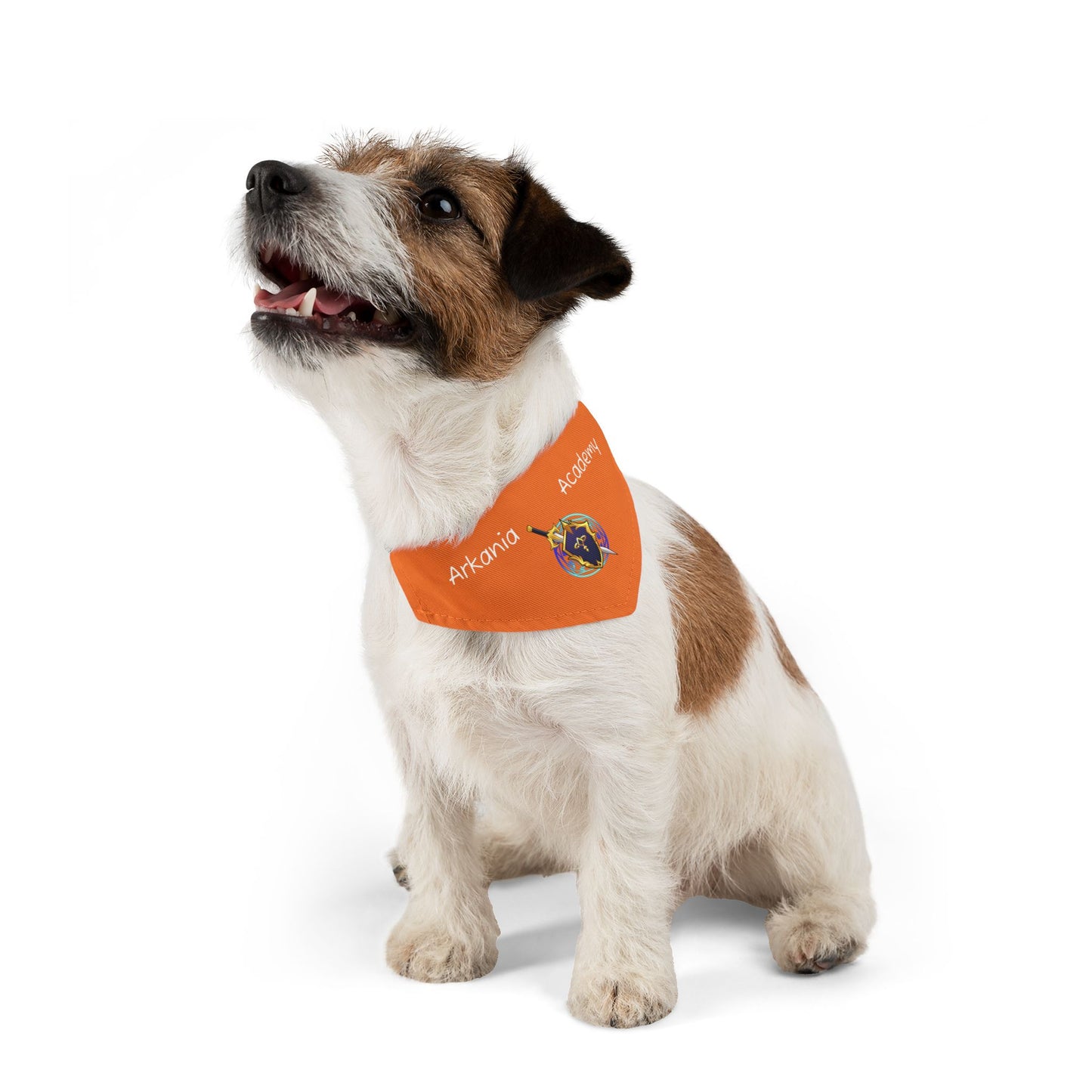 Arkania Academy Pet Bandana Collar (Crusta)